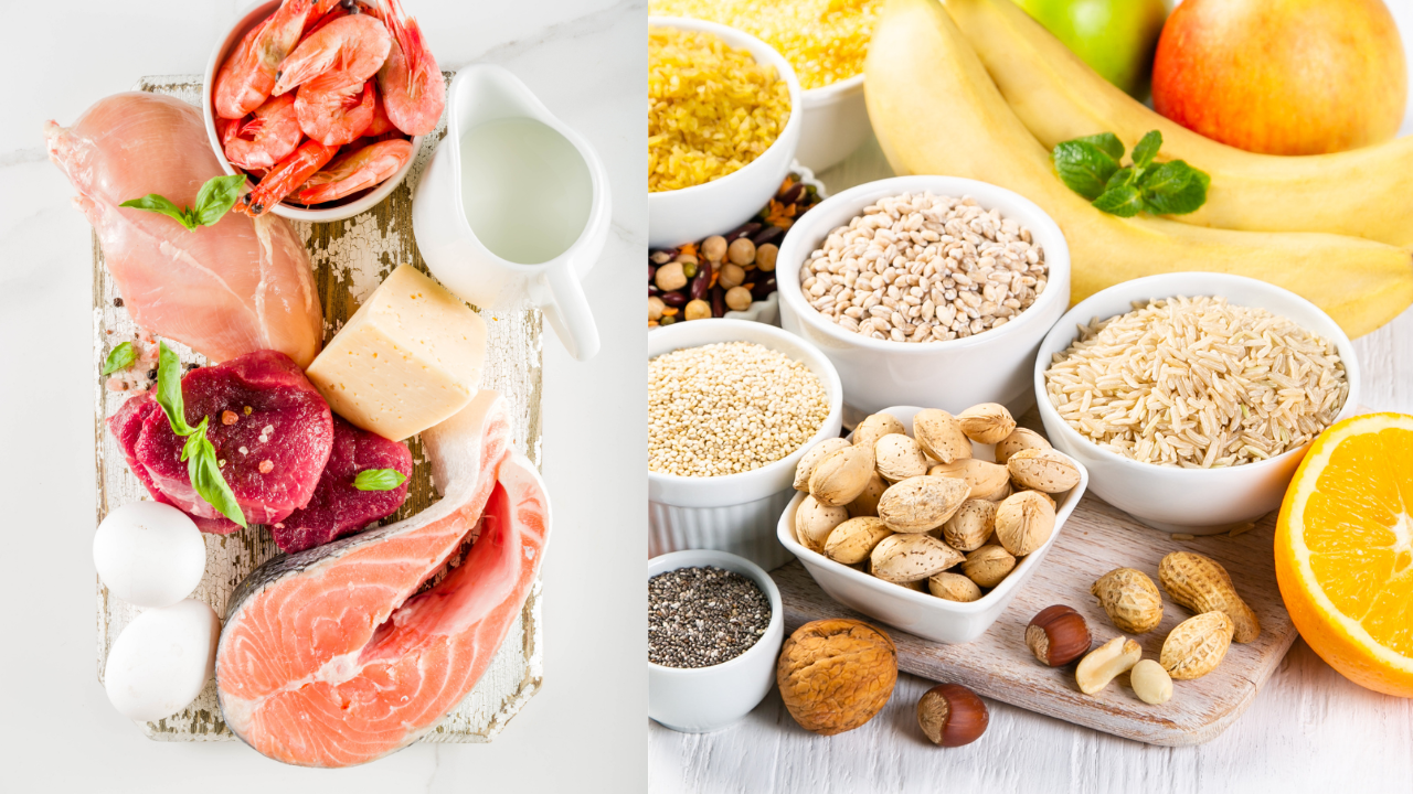 タンパク質食材と脂質食材