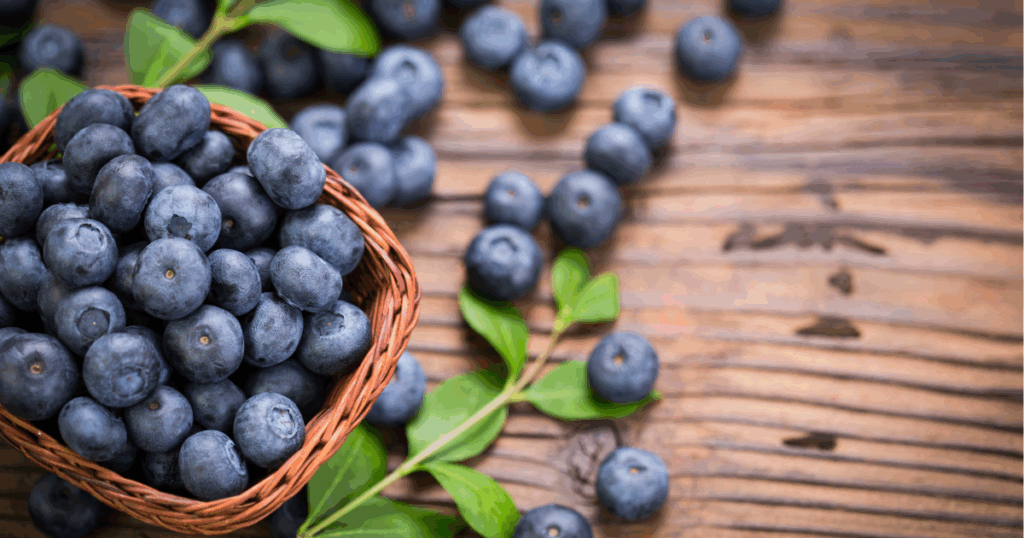 朝ごはんには、プロテインと冷凍ブルーベリーのスムージーがおすすめ!