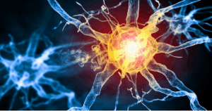 神経のイメージ