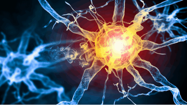 【腸内環境の真価】痩せない原因は「腸」にある？｜菌を味方につけて効率よく絞る新常識