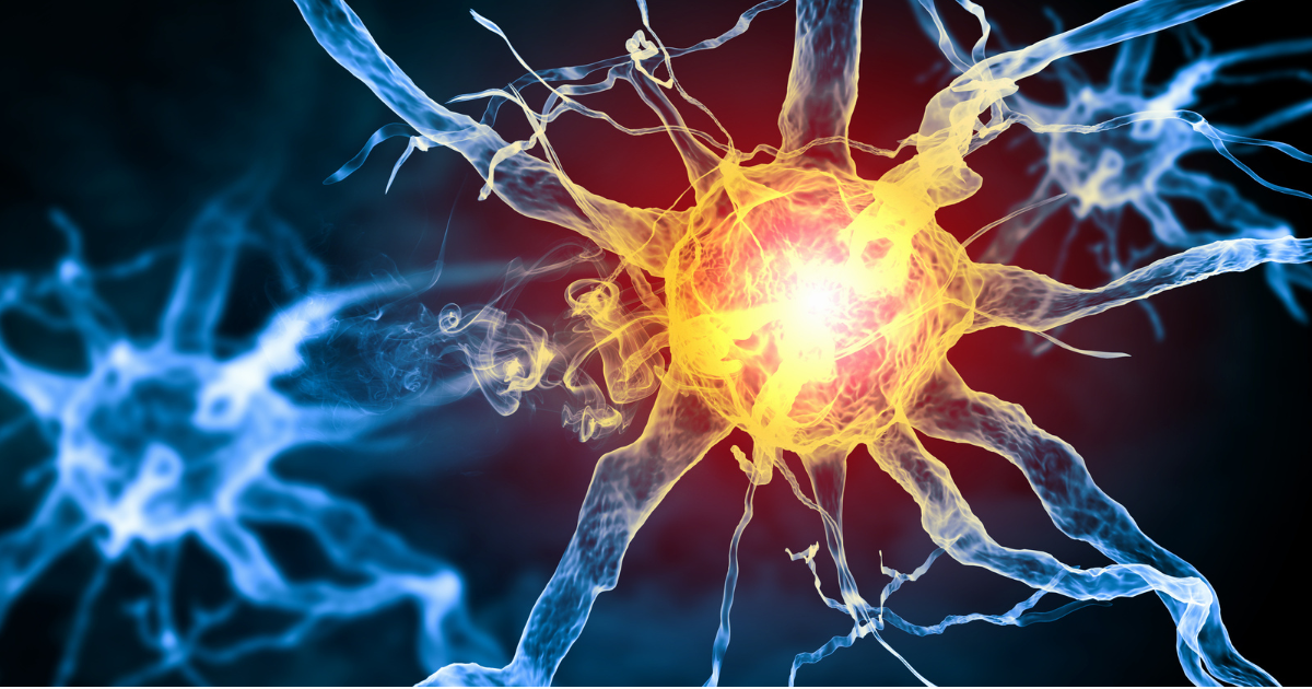 神経のイメージ